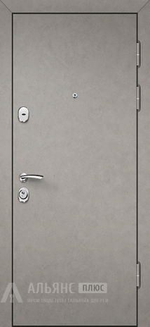 Фото «Дверь с полимерным порошковым покрытием №41»